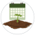 Krentenboom planten | Gardline
